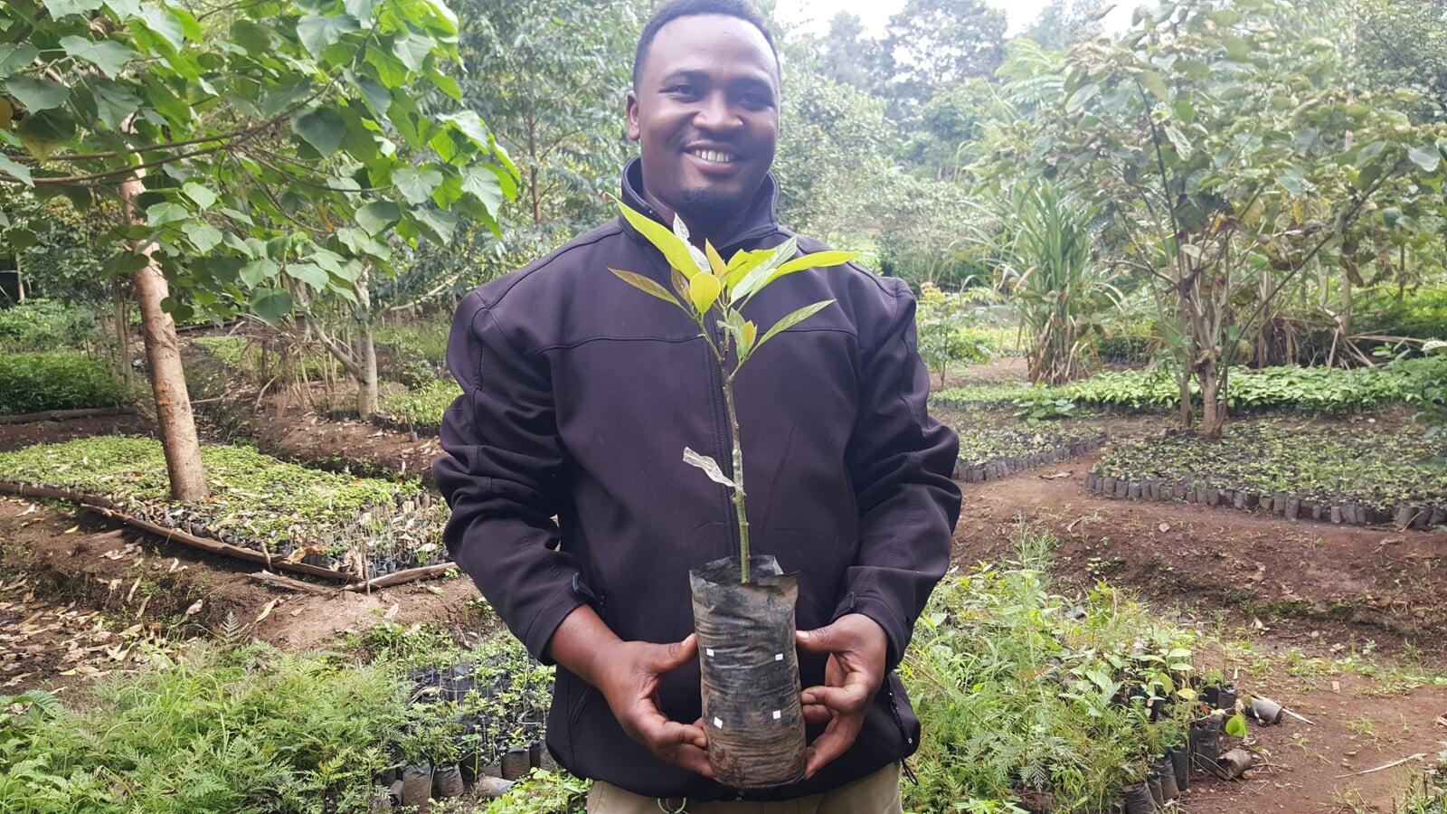 Harbouring Hope: The Transformative Power of Tree Planting in Vanuatu
